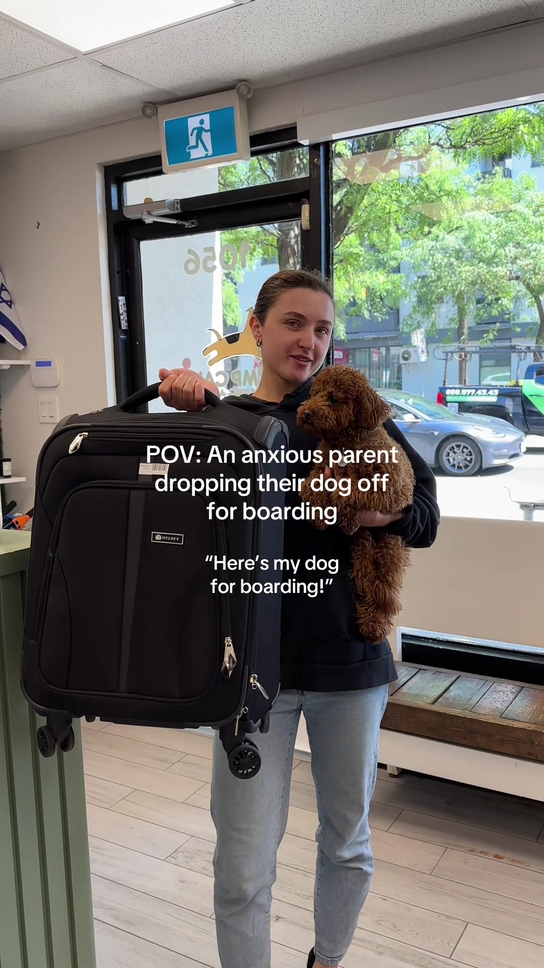 @Camp Canine Toronto