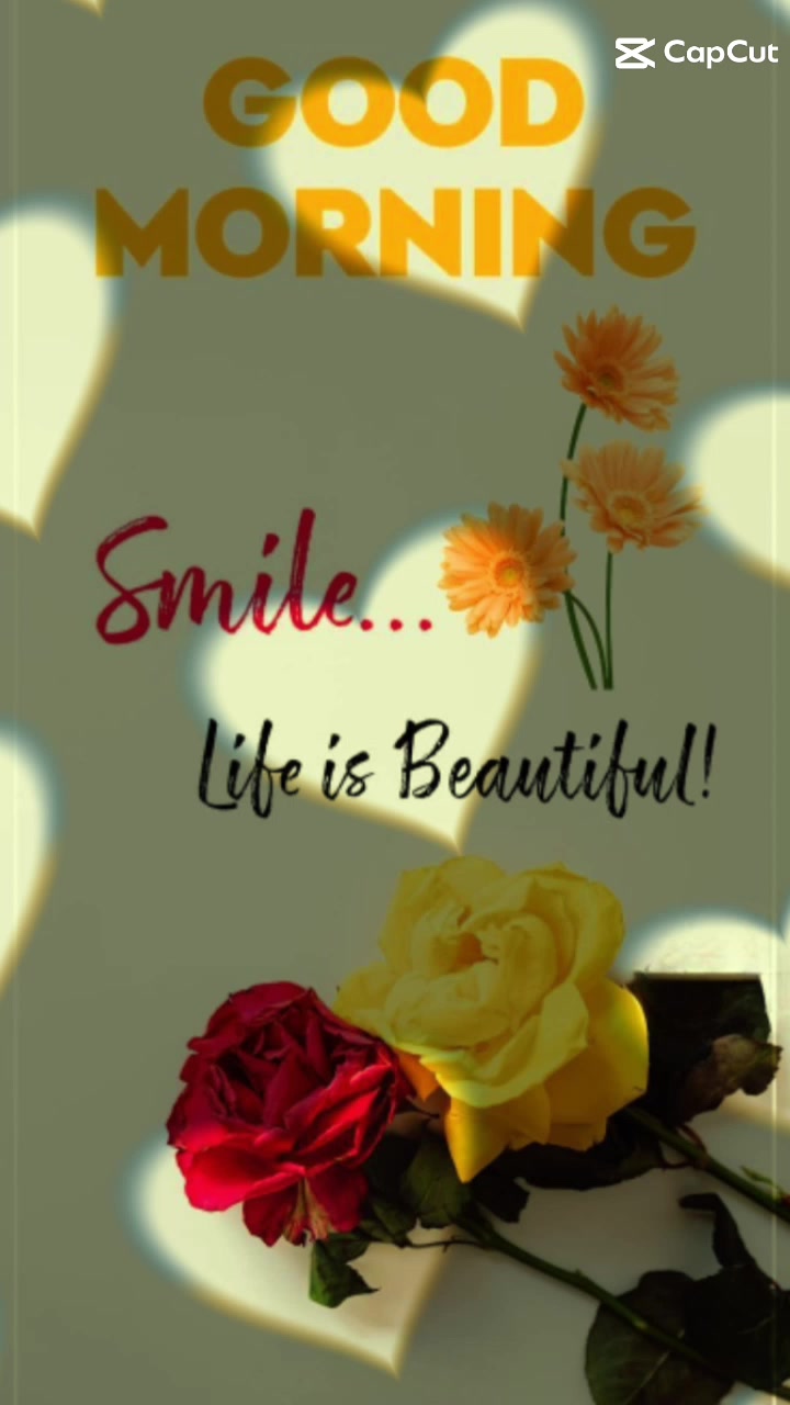 @🌷mylannie🌷
