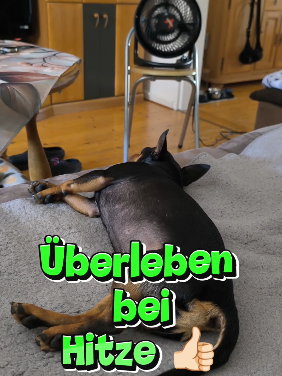 @ICH BIN'S