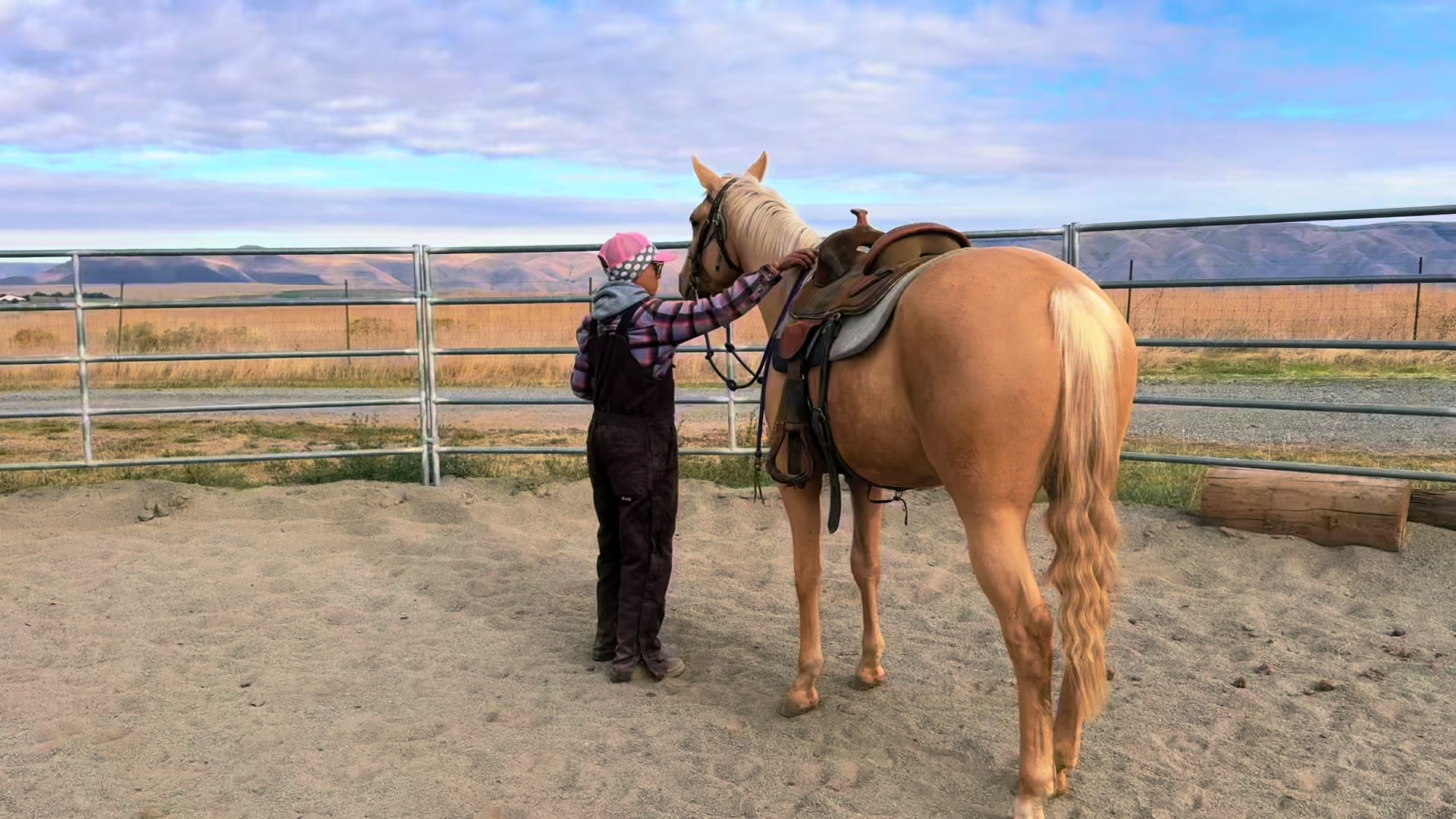 @Cowgirl Tuff Colt Training ❤️