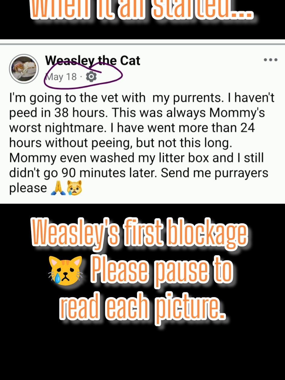 @Candice & Weasley