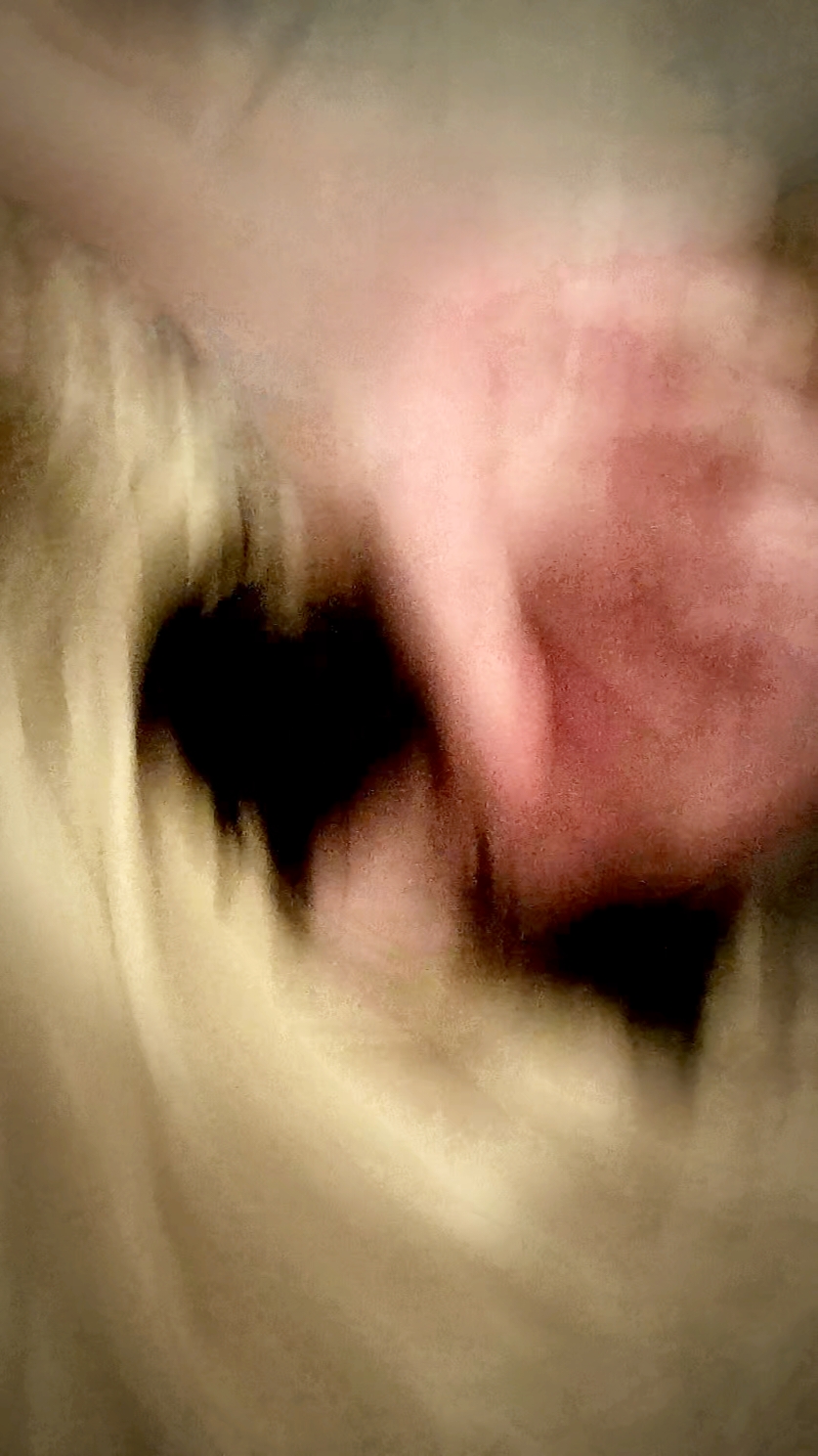 @vrnk