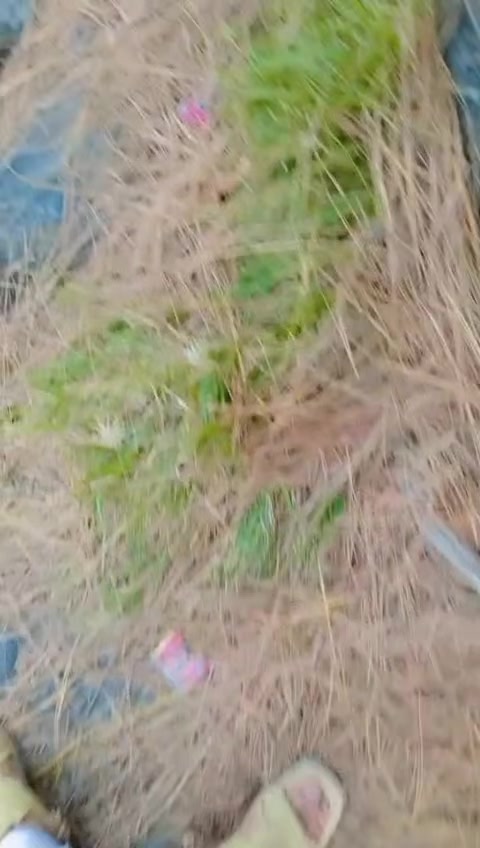 @Abbas raza butt