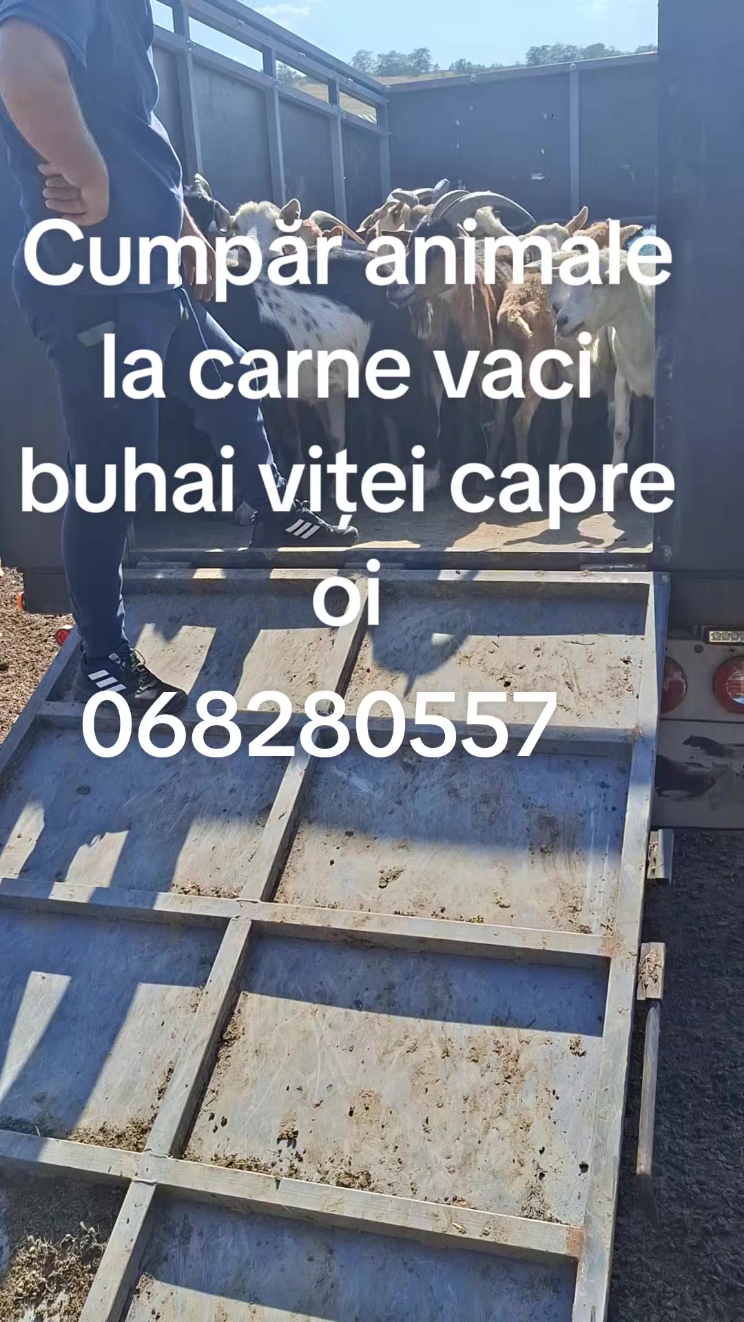 @romanbesleaga059