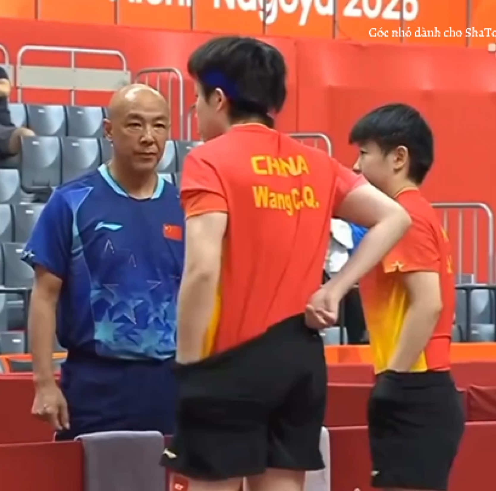 @Góc nhỏ dành cho ShaTou🦁🦈❤️