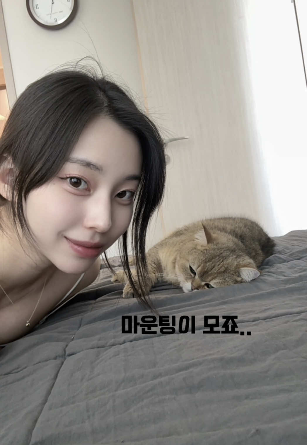 @🦊메쿤🦊