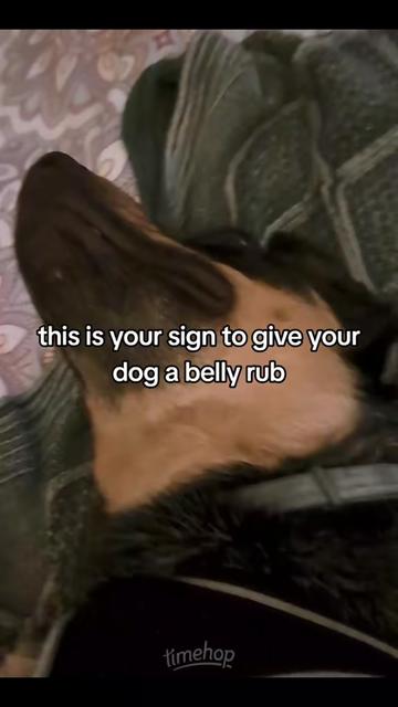 @Jessica Fleming