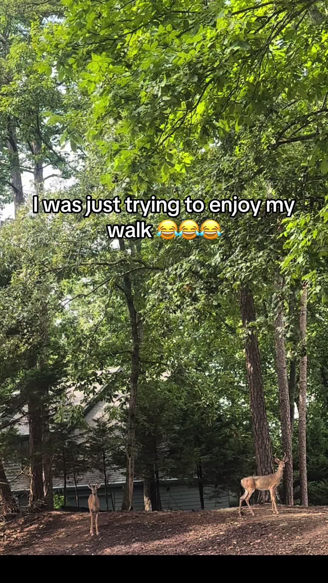 @W a n a