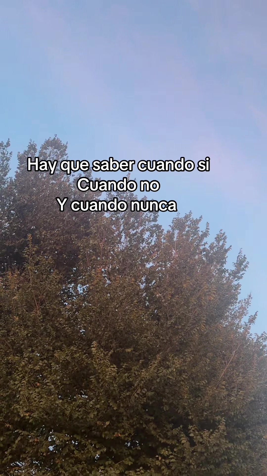 @Viví de leon (flaquita)