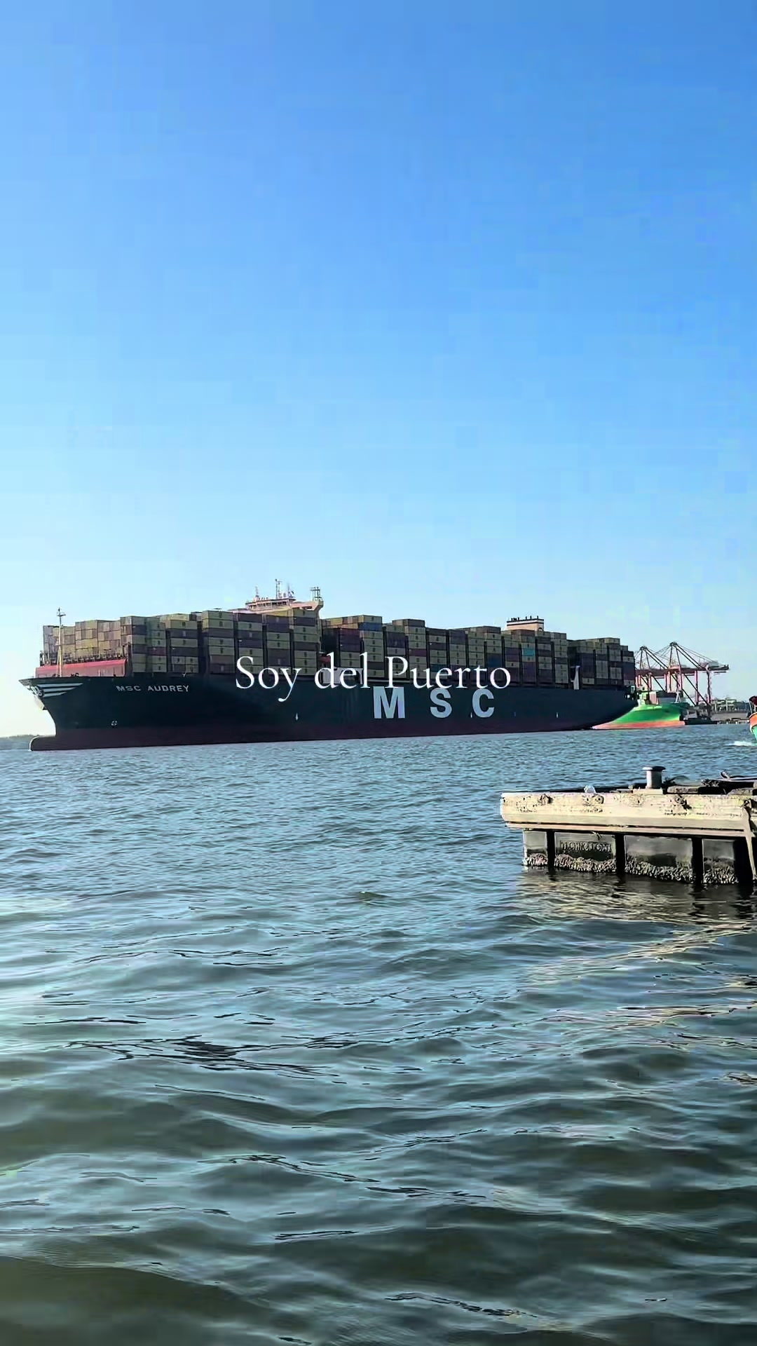 @Soy del Puerto 💛💚