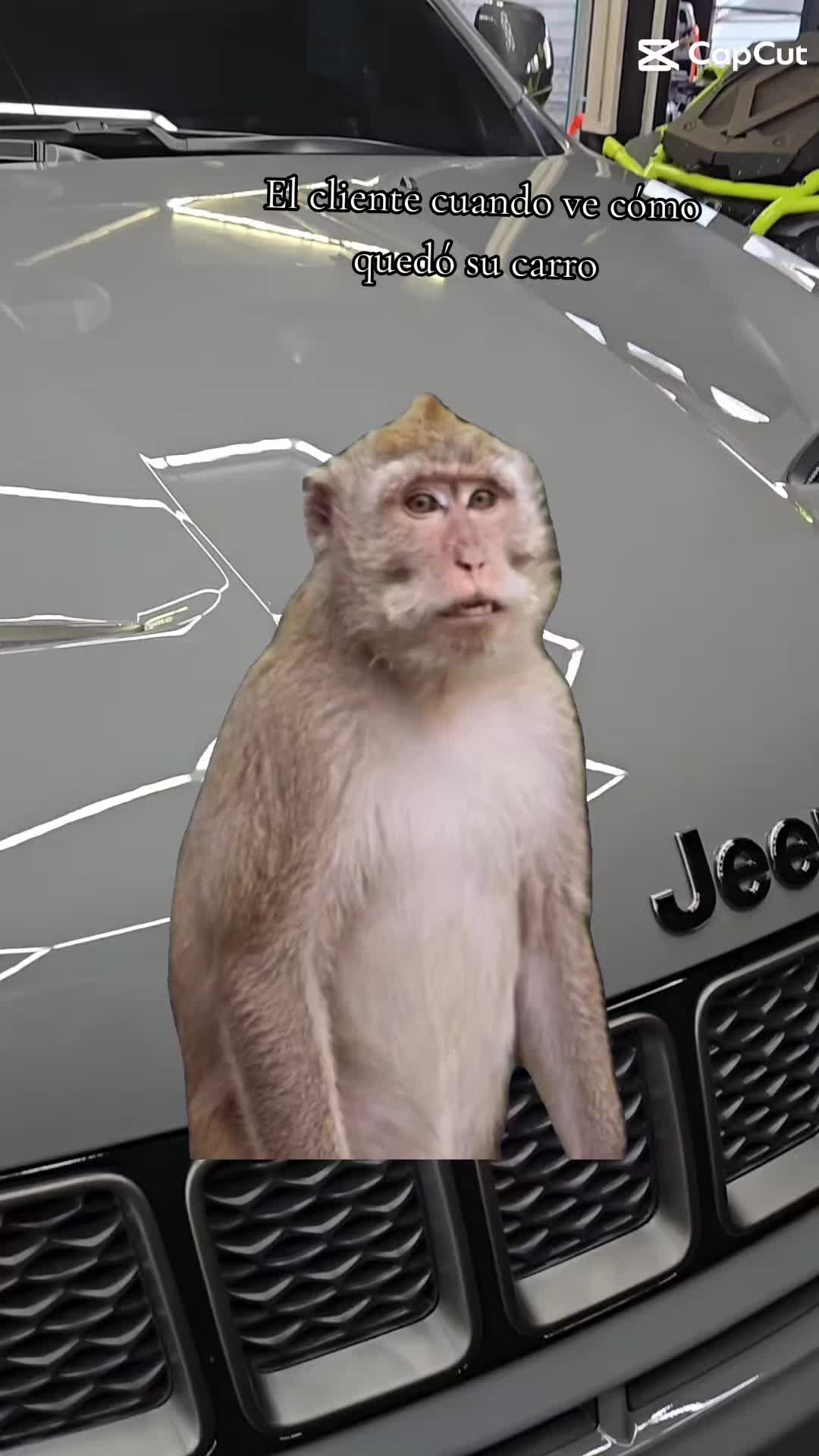 @LuisAutoDetailing 🦍💥🦍