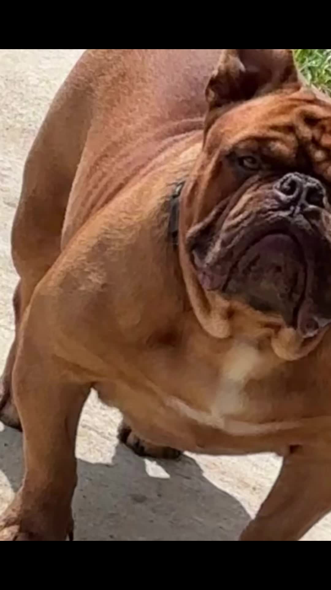 @GUCCISMACK