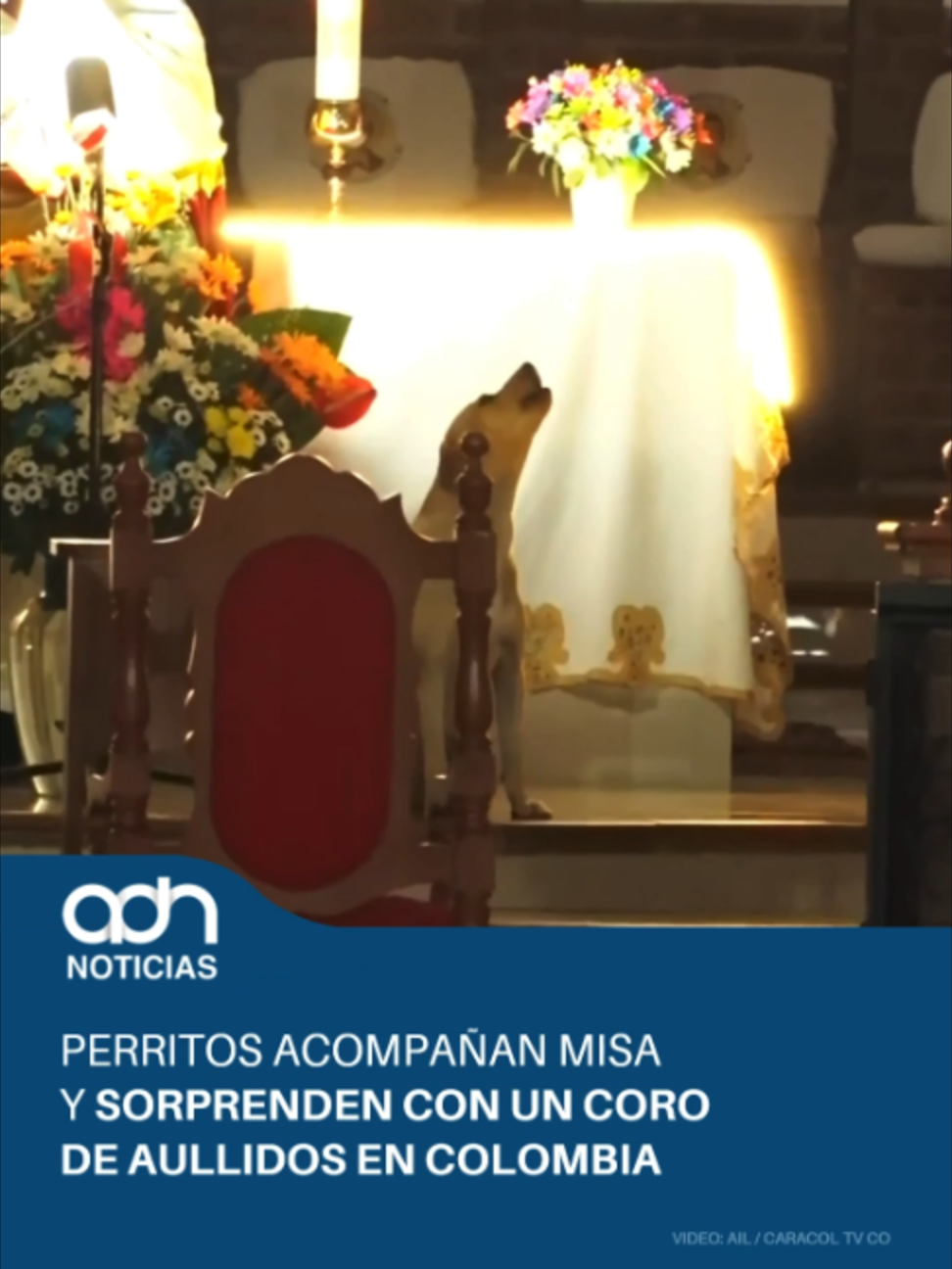 @adn Noticias