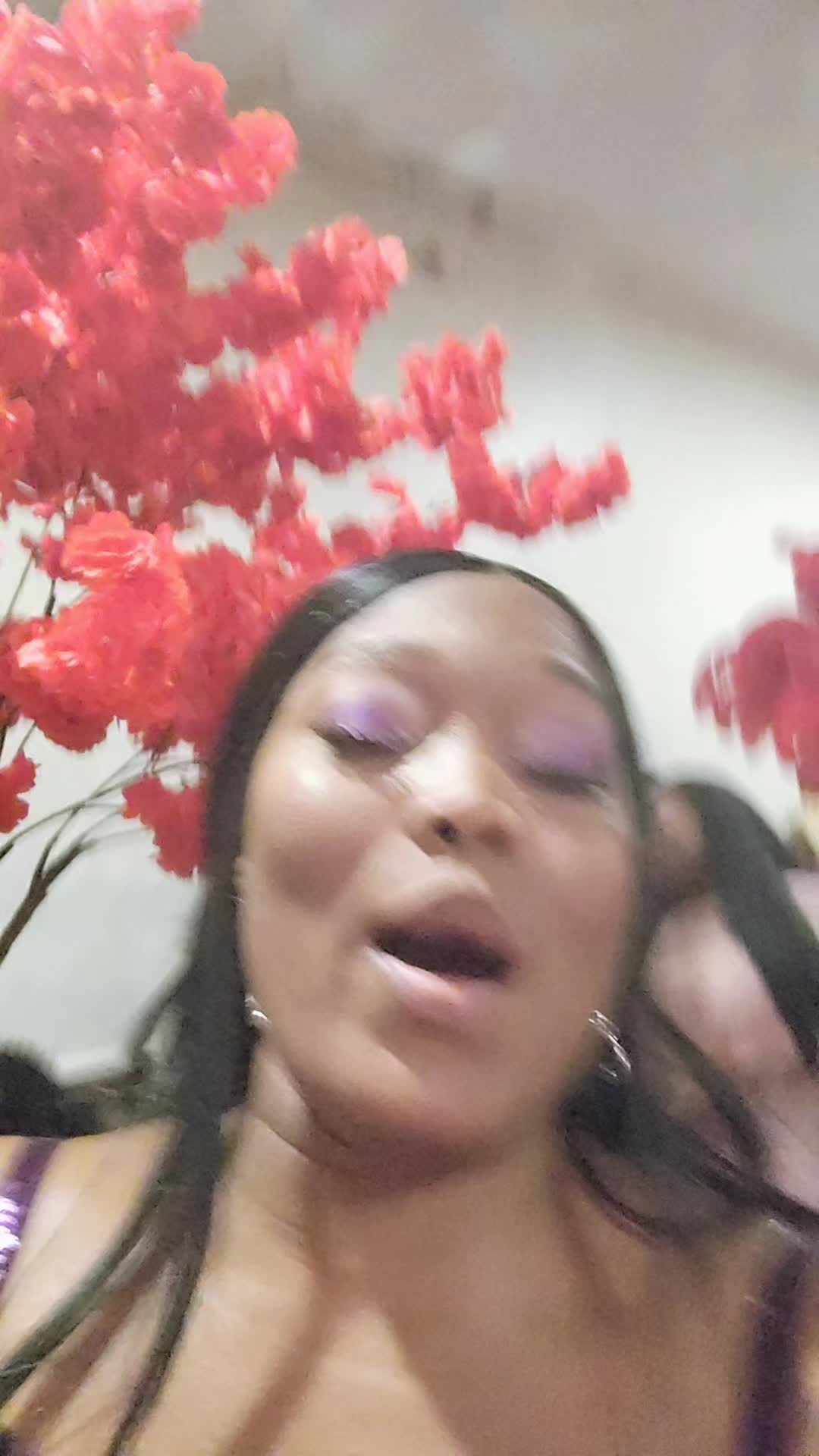 @dewPaula