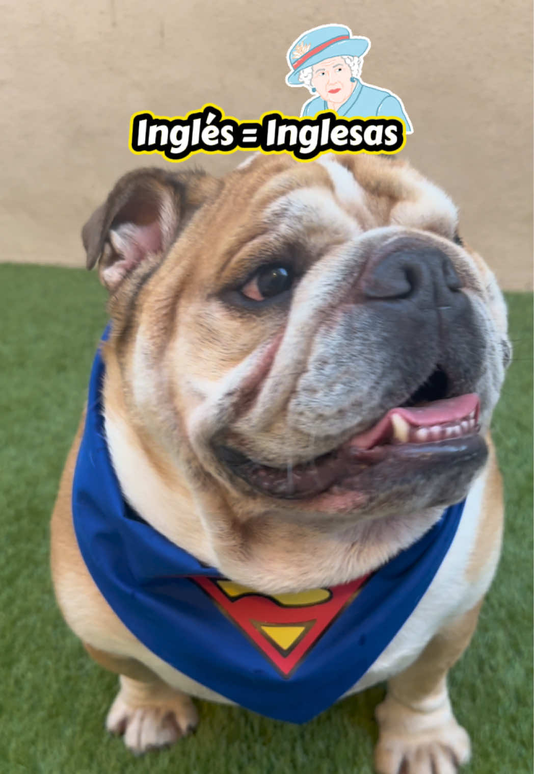 @Campeón Winston