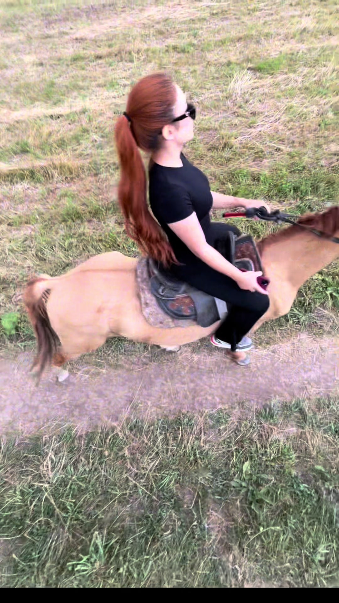@akshatau_horses
