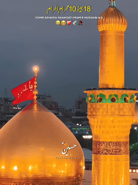 @𝐙𝐀𝐈ن𝐀𝐛ރ