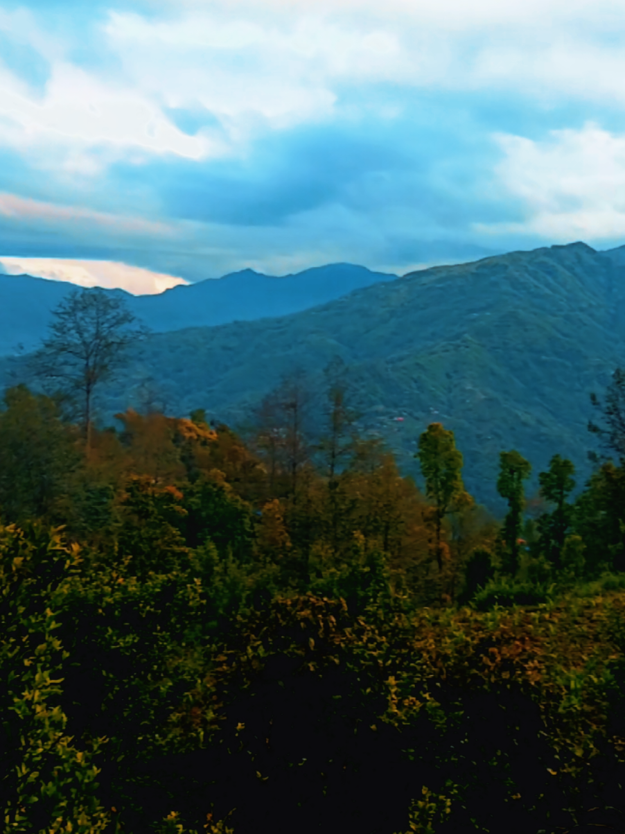 @Queen of Himalayas