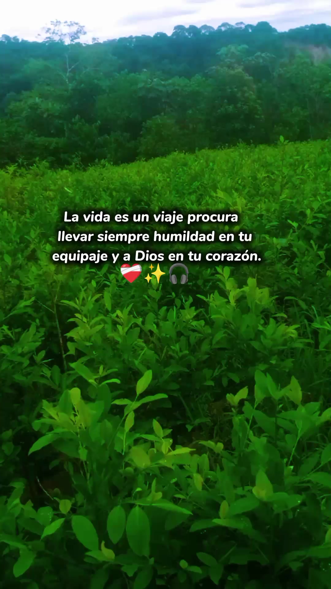 @😢🥀🥀❤️&zwj;🩹💔💔