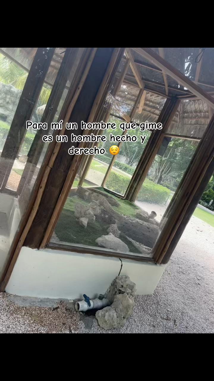 @️I’m perlucha🦋❤️