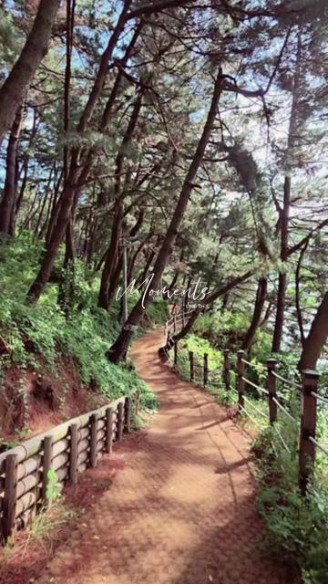 @헤라클레스 🍀