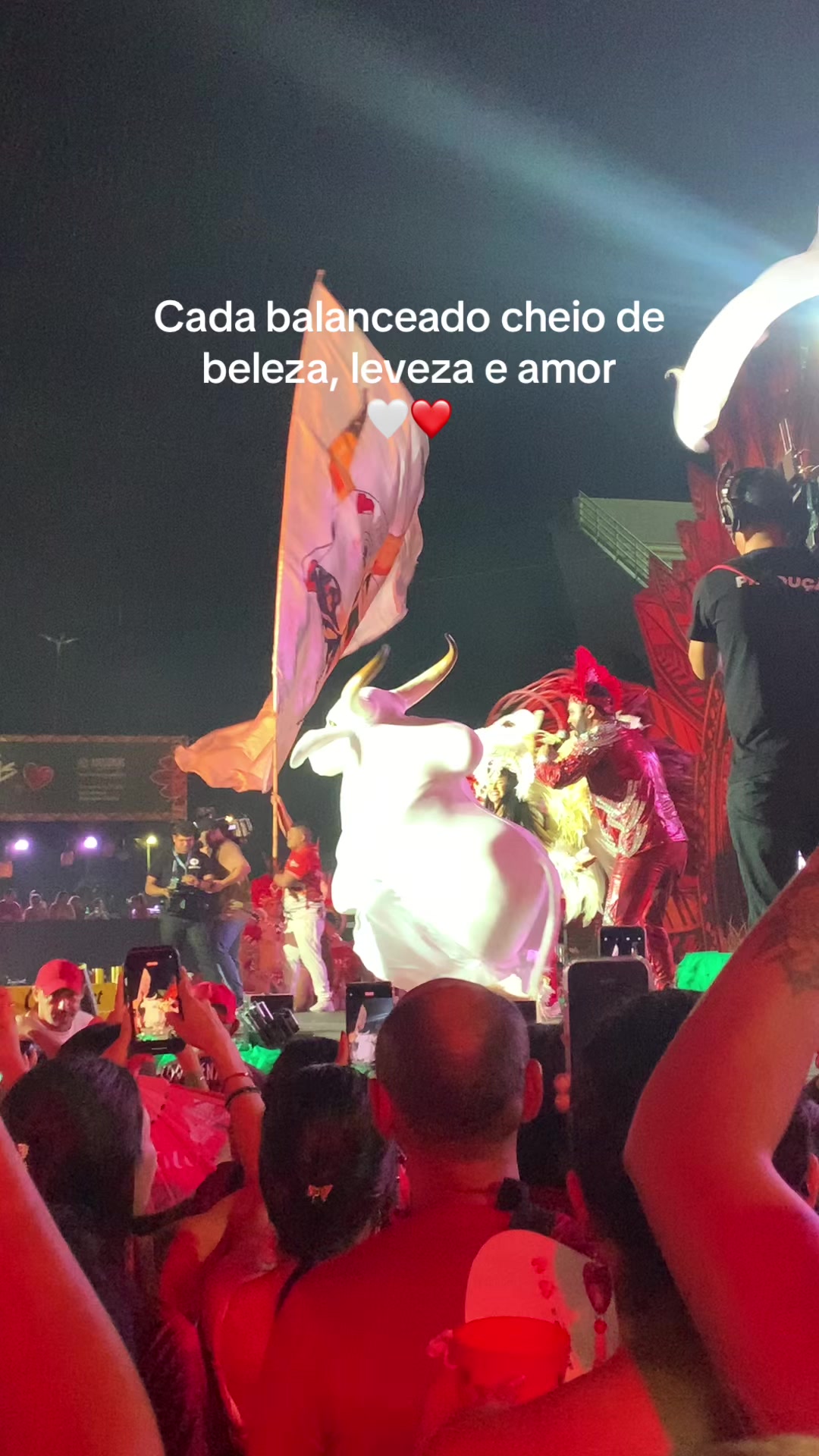 @Fernanda Freitas
