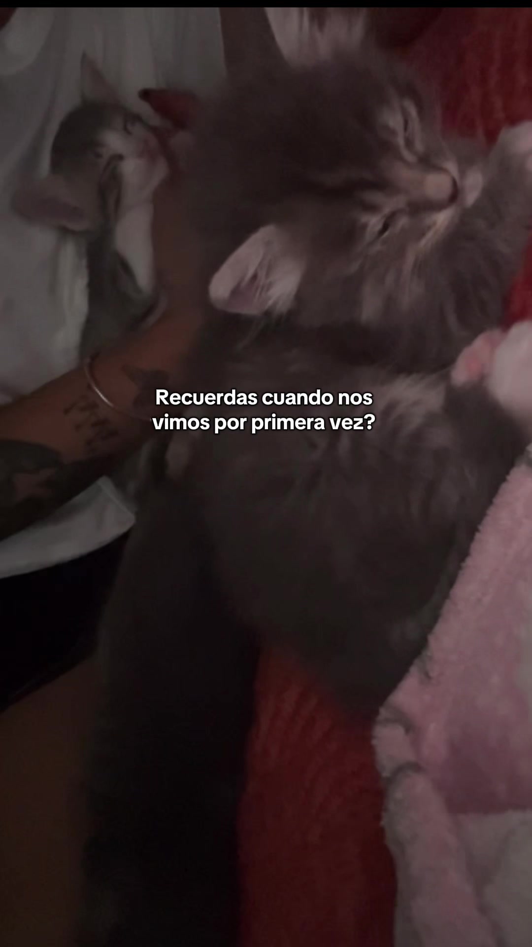 @Anna García