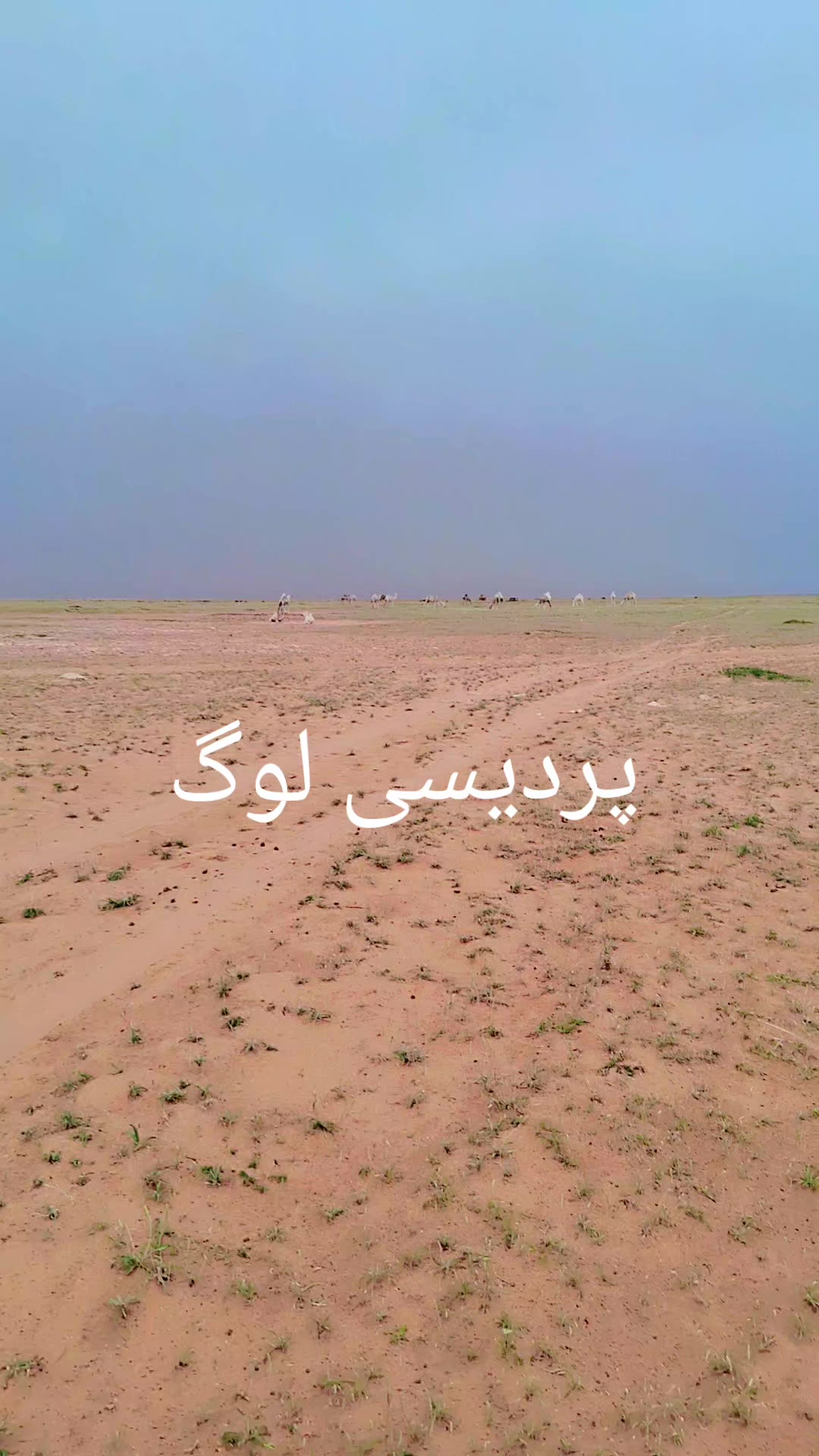 @hazarilal