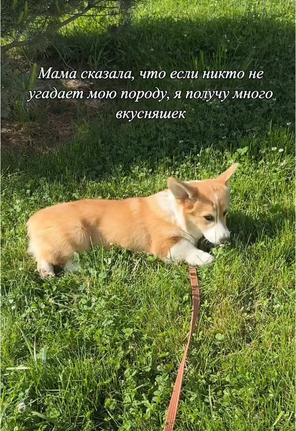 @Vlada & Santos