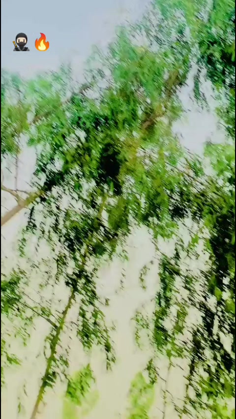 @👑Sajeel SaJu Malik👑