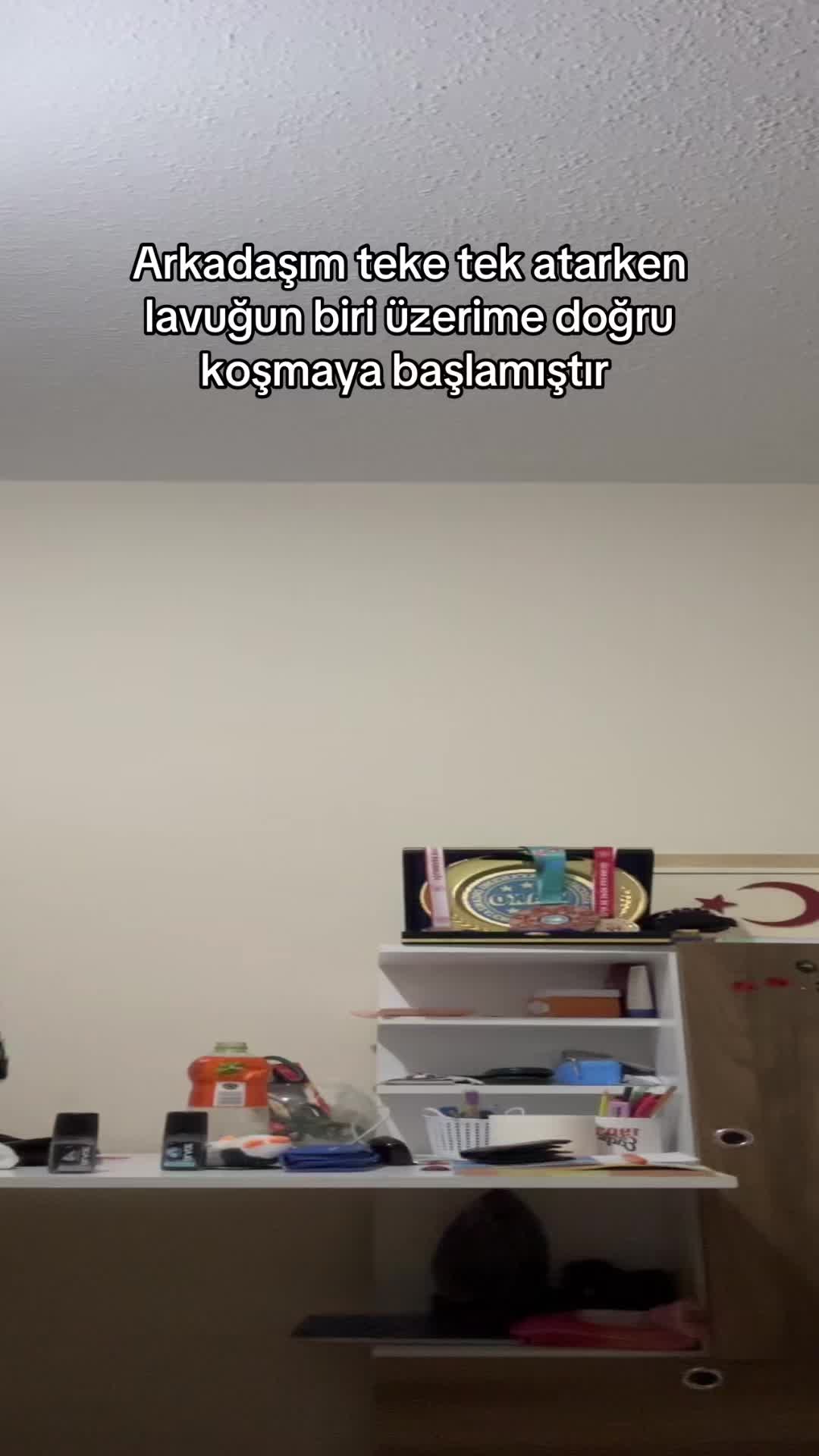 @Sefoo**