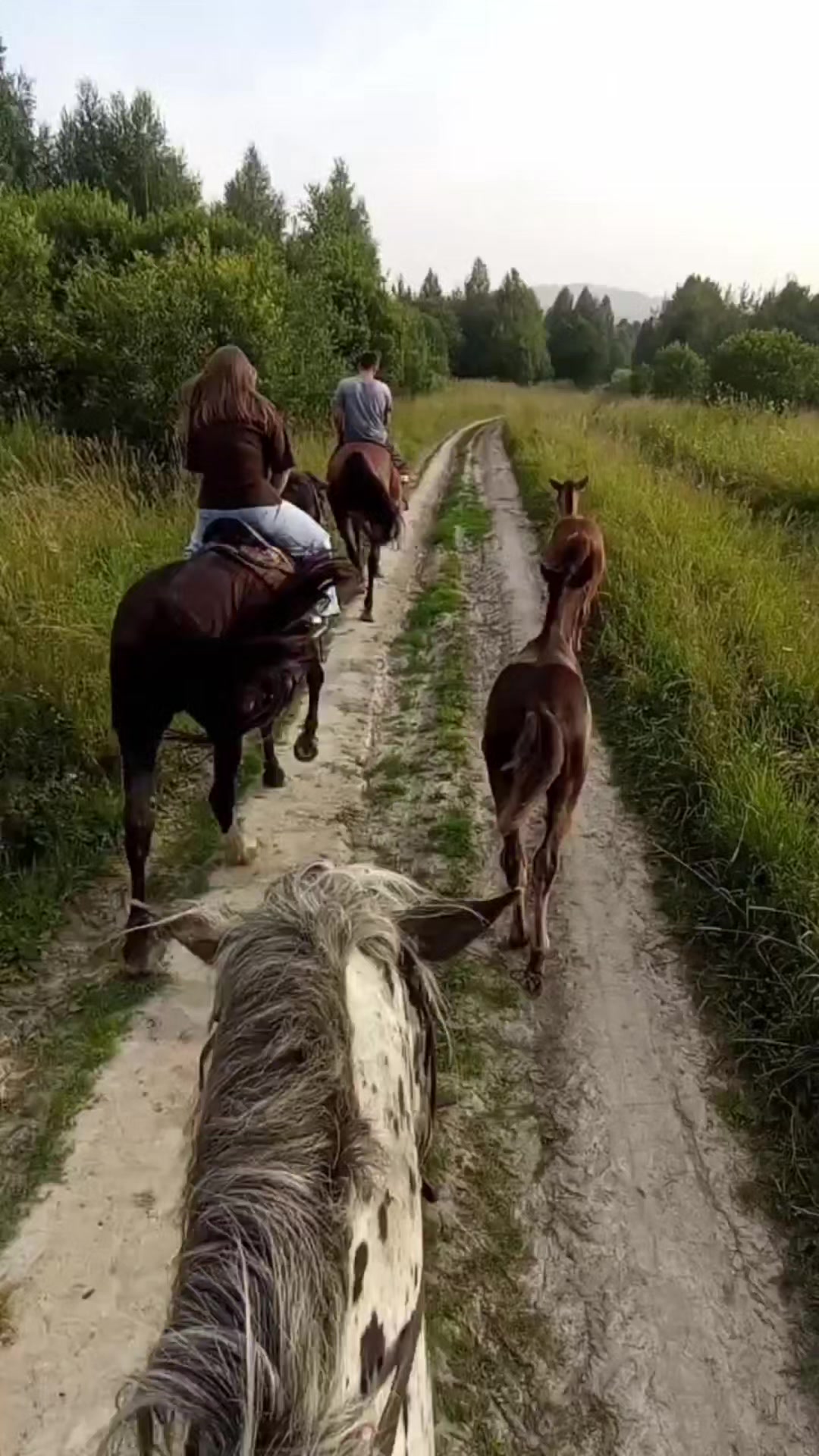 @Бурмакина Дарья