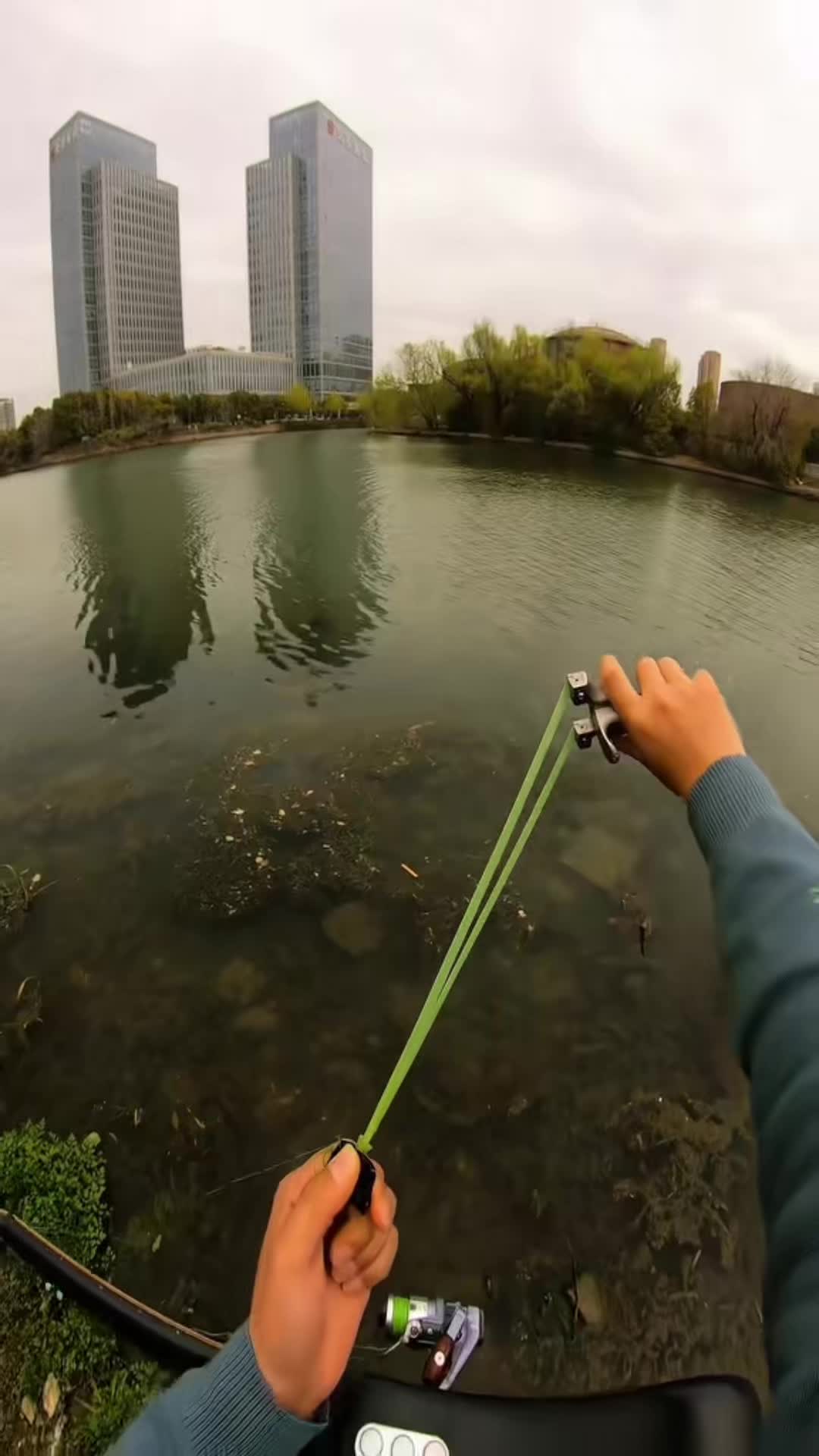 @Fishing King