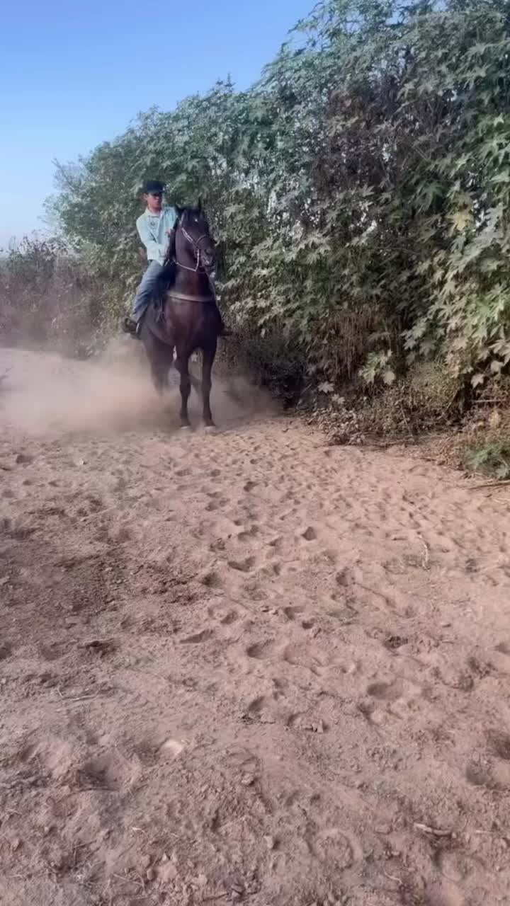 @K.borja🐴