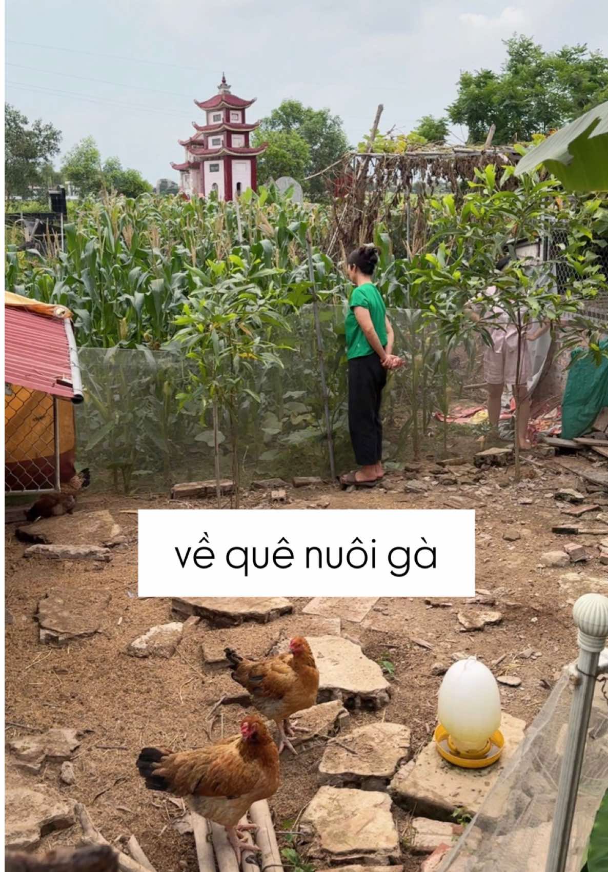 @Nắng Vlog