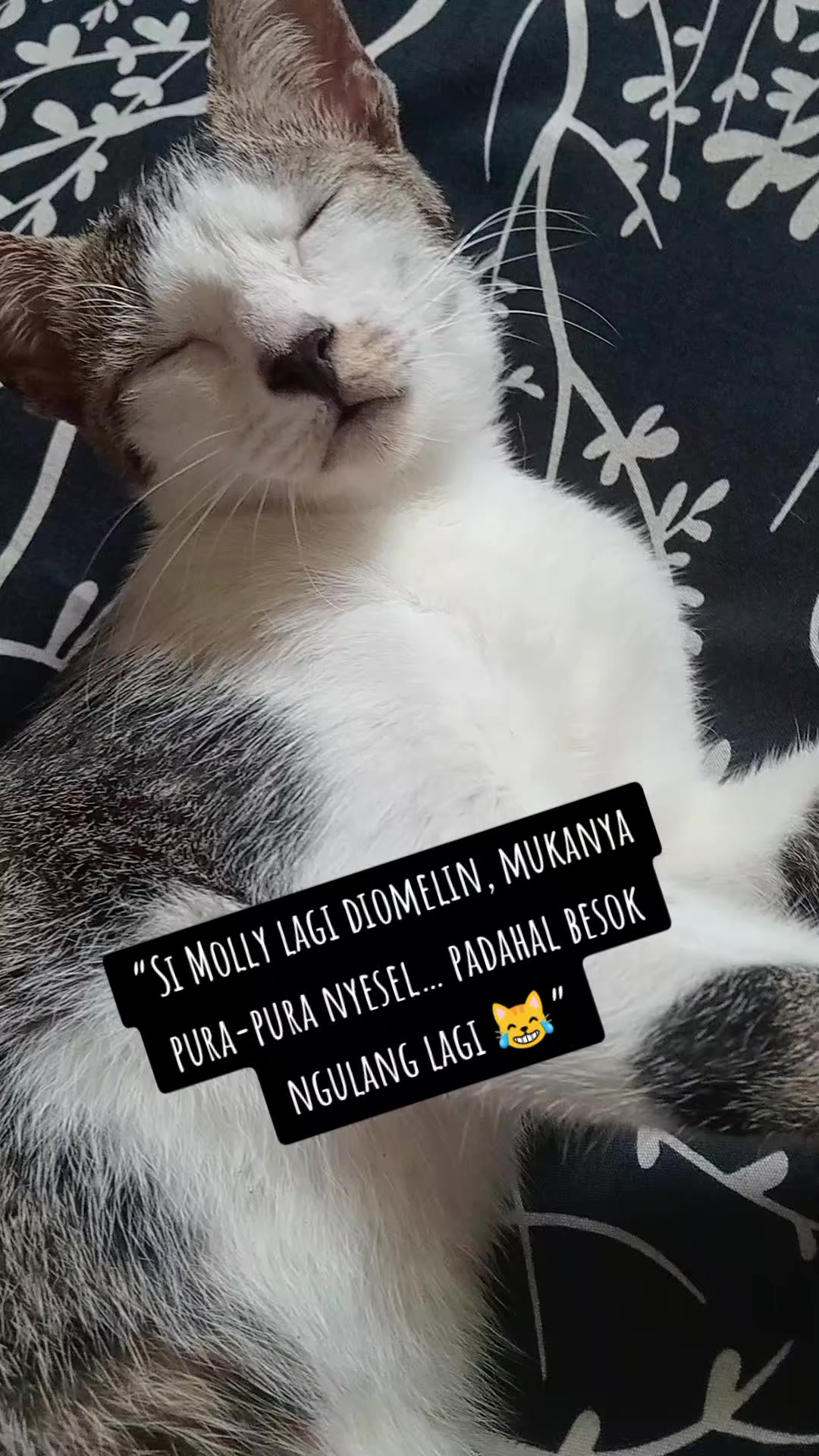 @Rizqi