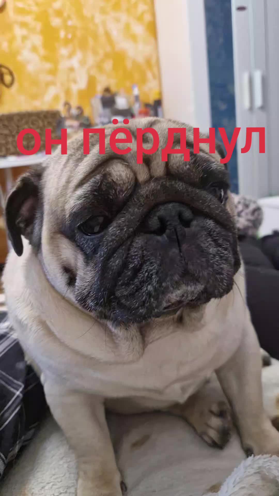 @ГЛЕНН АНГЕЛ ДЕМОН