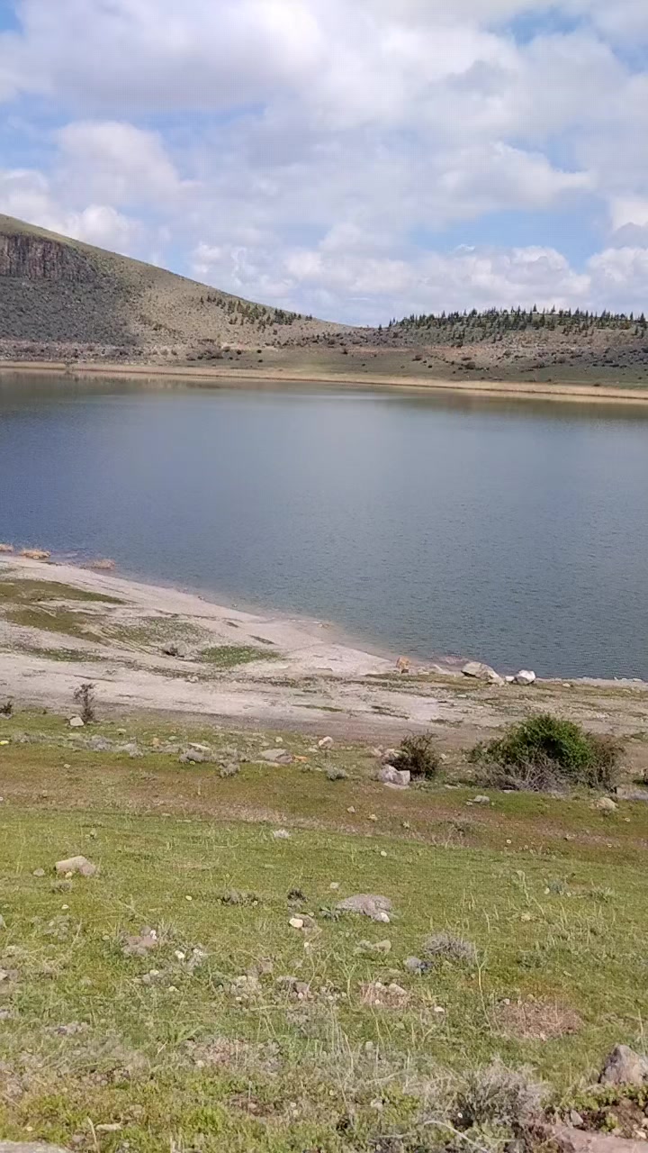 @yaşar koçkesen