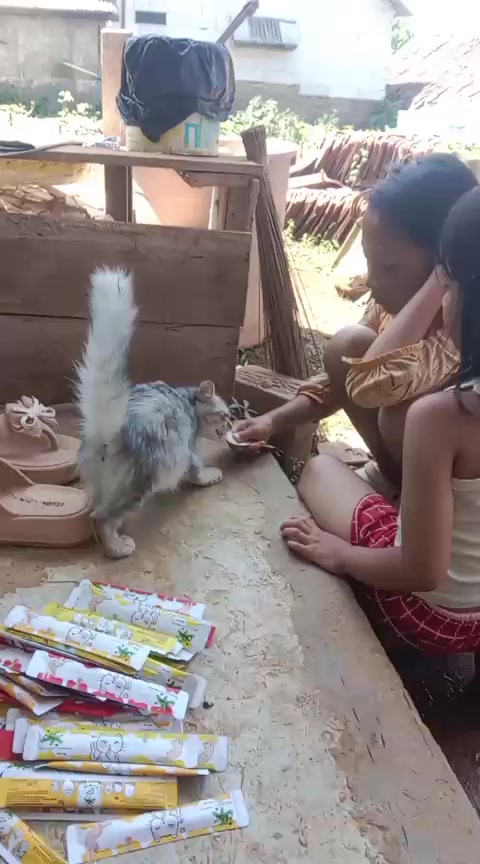 @simidun