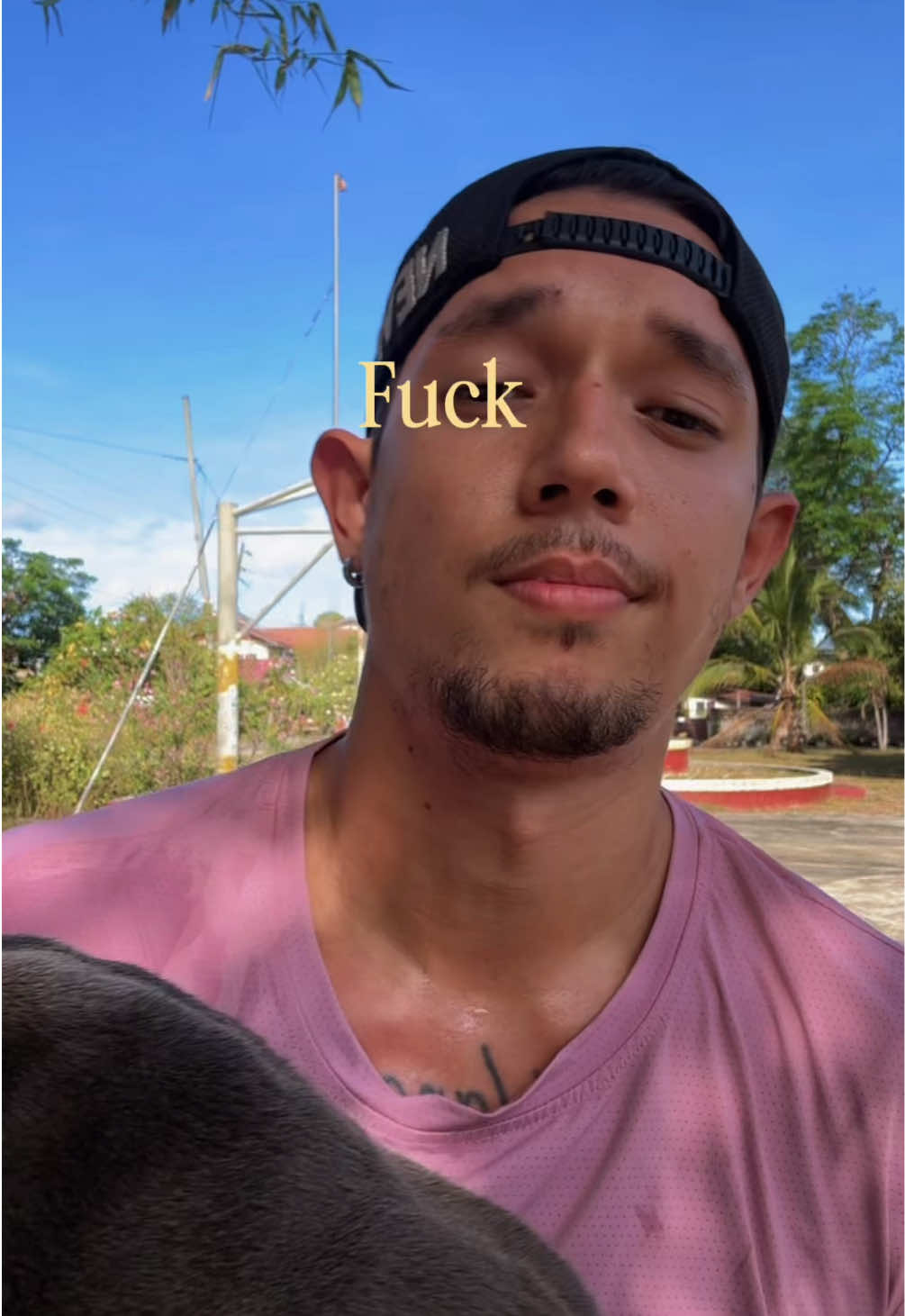 @LEON