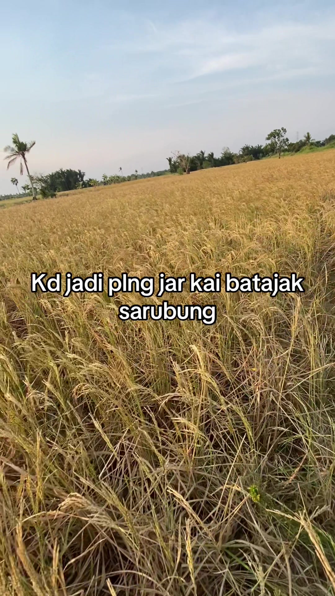 @Uji Germen🥷