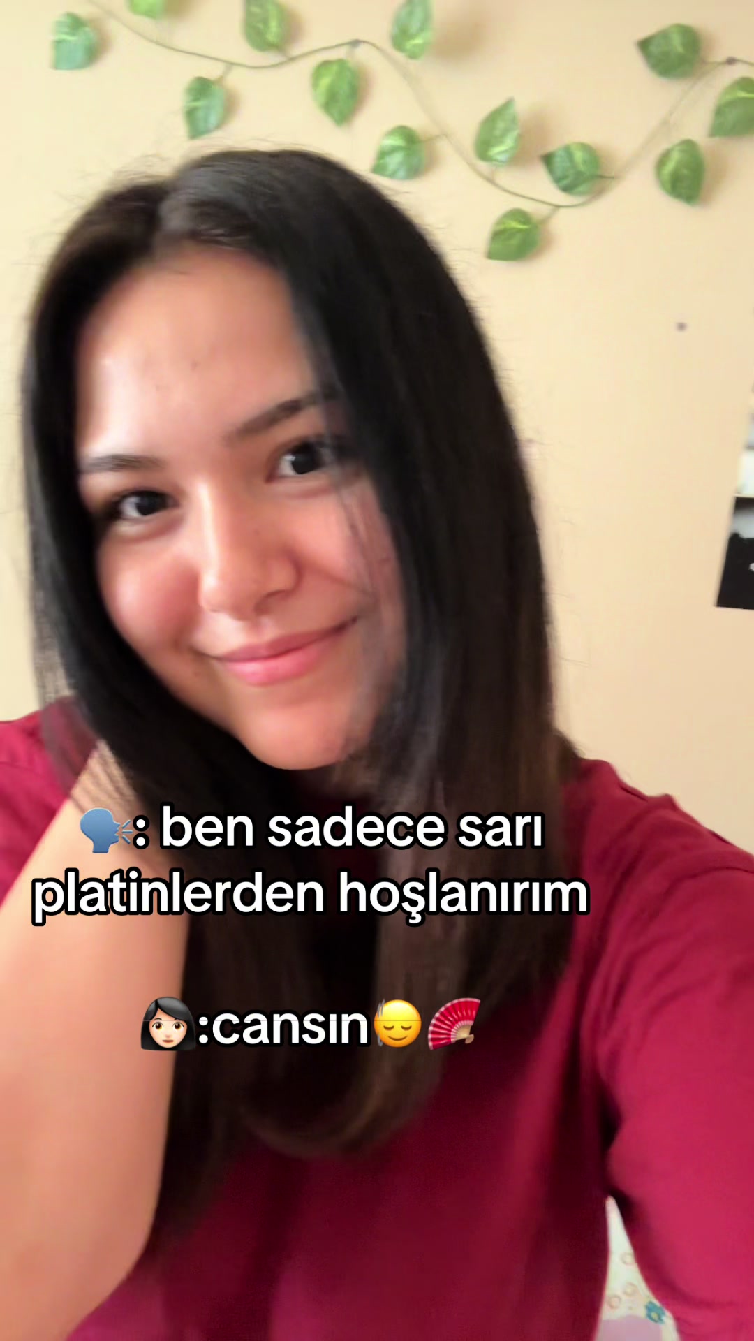 @medovsym