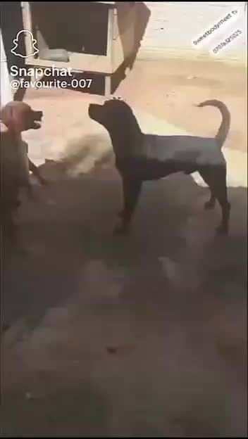 @Pillaquit Boy