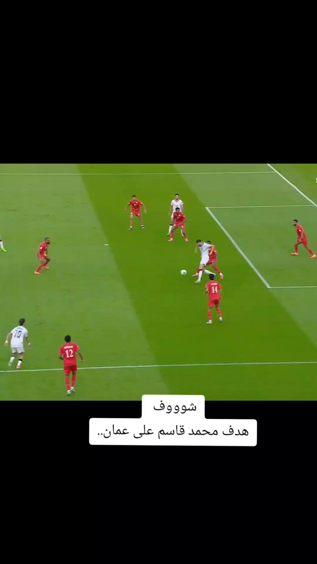 @ملعب البصرة جذع نخلة