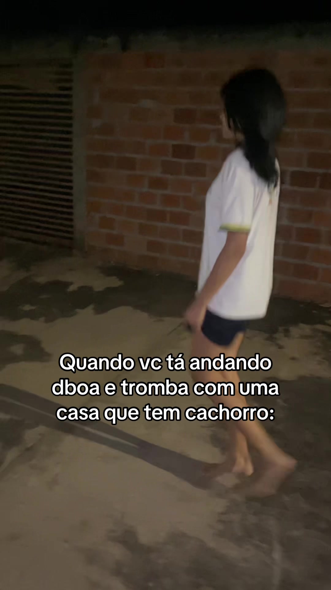 @gustavo marques