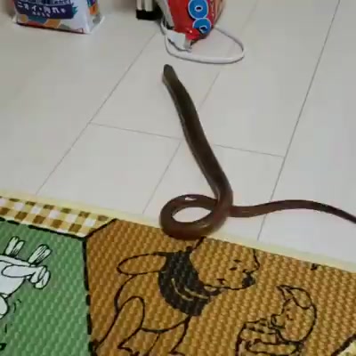 @デレ助あや