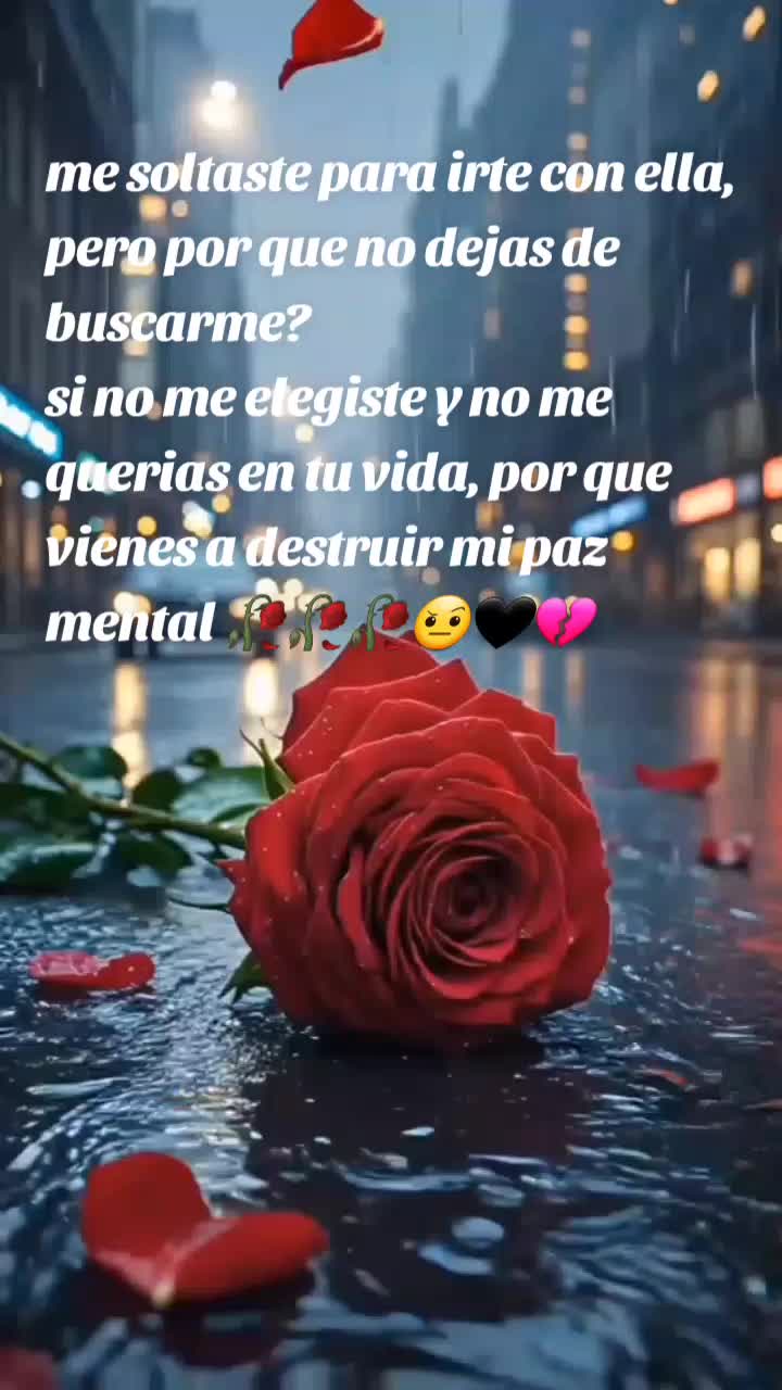 @Carolina Rossetti