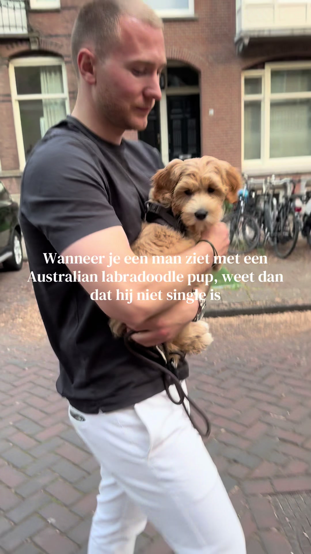 @Beryl van Drongelen