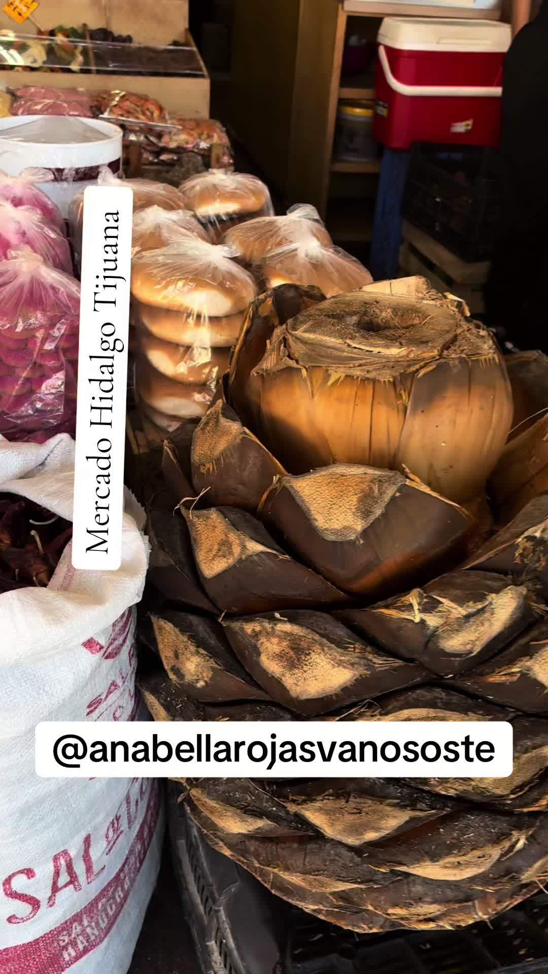 @Anabella Rojas Vanososte