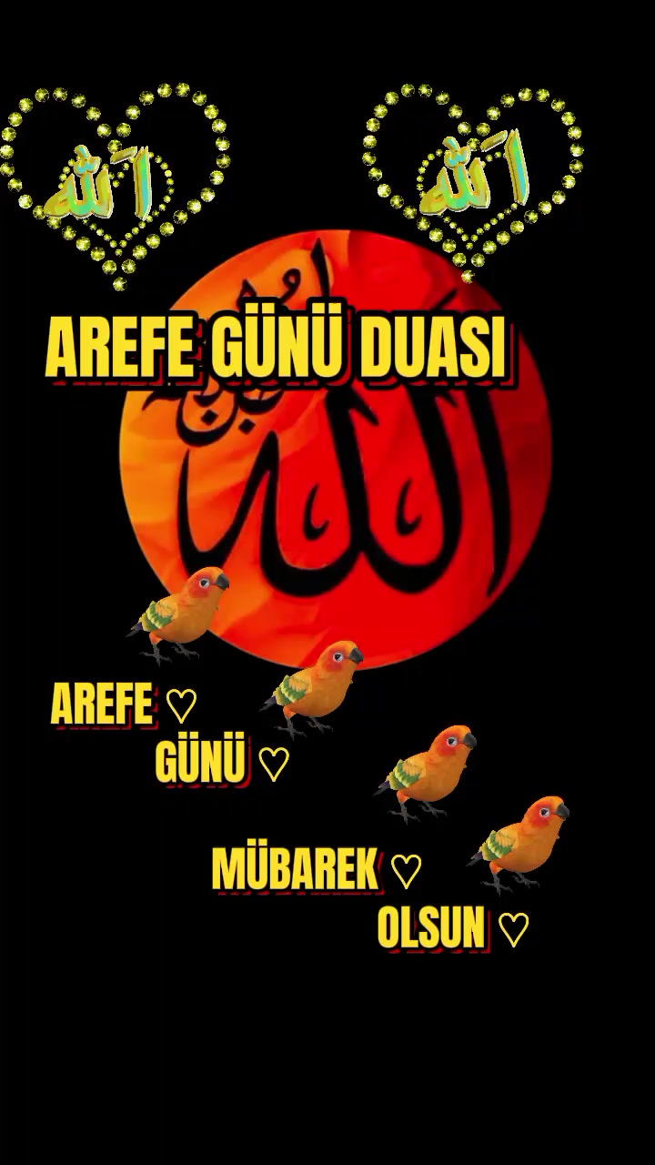 @🇹🇷Yasin Sapmaz🇹🇷